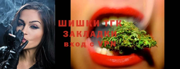 PSILOCYBIN Аркадак