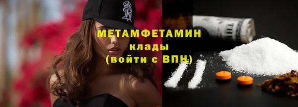 PSILOCYBIN Аркадак