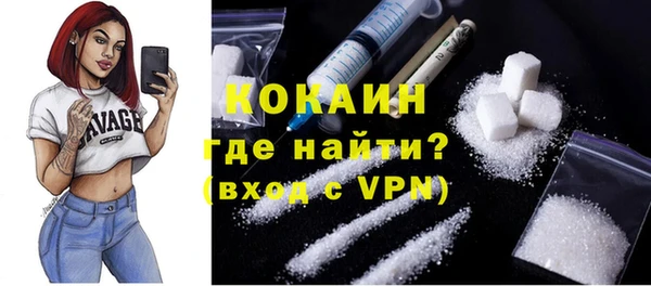PSILOCYBIN Аркадак